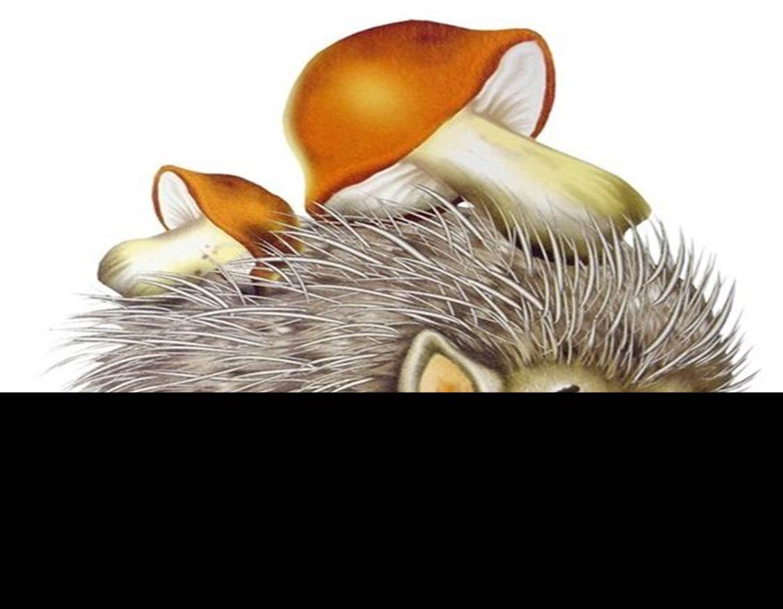 189