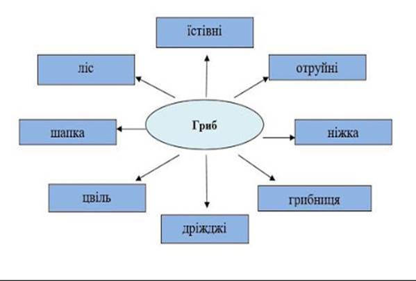 Загальна характеристика грибів. - Острів знань