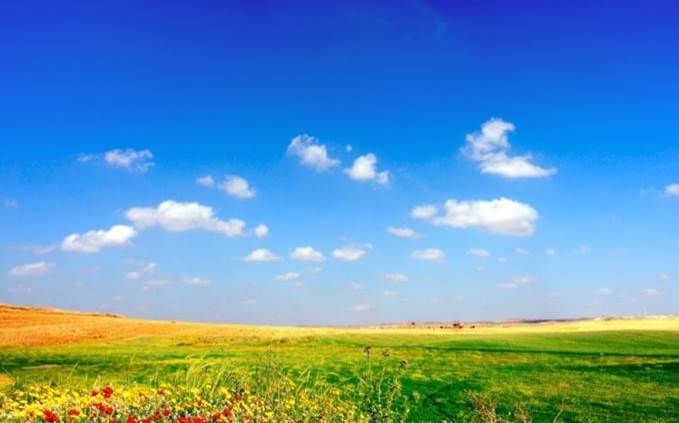http://wallpaperslab.ru/wp-content/uploads/2012/05/1-43.jpg