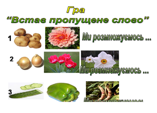 https://disted.edu.vn.ua/media/images/prigoda/priroda3/ur18/03.png