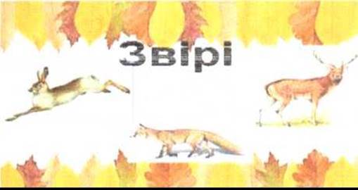 image38