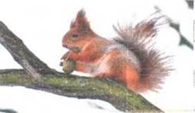 image50