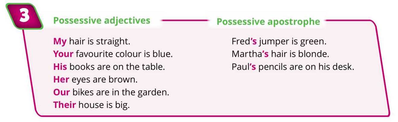S Or A Sentence Grammar focus