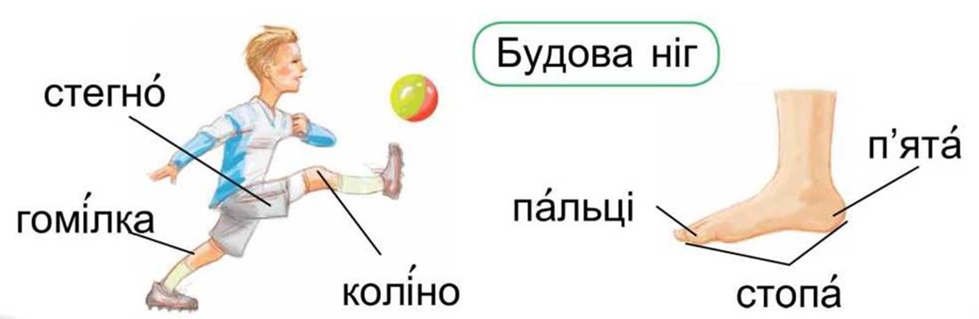 image51